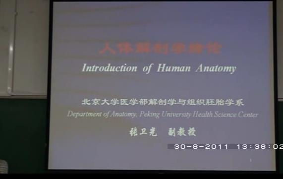 北京大学《人体解剖学》28集教学视频下载 – 教学视频下载中医教学-中医资料-中医医案-中医针灸-古籍珍本-中医基础-中医经典-中医-名家学术-中医男科-疾病专治-经方论治-名族医药-中医方剂-中药本草-中医拔罐-中医刮痧-推拿按摩-中医内科-中西结合-中医妇科-中医皮肤-中医医话-中医外科-中医儿科-中医儿科-海外中医-特色疗法-中医骨伤-中医四诊-中医养生阁