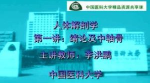 中国医科大学《人体解剖学》54集教学视频下载 - 教学视频下载中医教学-中医资料-中医医案-中医针灸-古籍珍本-中医基础-中医经典-中医-名家学术-中医男科-疾病专治-经方论治-名族医药-中医方剂-中药本草-中医拔罐-中医刮痧-推拿按摩-中医内科-中西结合-中医妇科-中医皮肤-中医医话-中医外科-中医儿科-中医儿科-海外中医-特色疗法-中医骨伤-中医四诊-中医养生阁