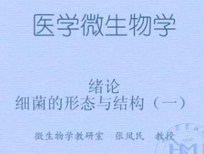 哈尔滨医科大学《医学微生物学》46集教学视频下载 - 教学视频下载中医教学-中医资料-中医医案-中医针灸-古籍珍本-中医基础-中医经典-中医-名家学术-中医男科-疾病专治-经方论治-名族医药-中医方剂-中药本草-中医拔罐-中医刮痧-推拿按摩-中医内科-中西结合-中医妇科-中医皮肤-中医医话-中医外科-中医儿科-中医儿科-海外中医-特色疗法-中医骨伤-中医四诊-中医养生阁