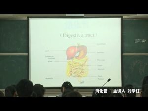 绍兴文理学院《组织学与胚胎学》22集教学视频下载 - 教学视频下载中医教学-中医资料-中医医案-中医针灸-古籍珍本-中医基础-中医经典-中医-名家学术-中医男科-疾病专治-经方论治-名族医药-中医方剂-中药本草-中医拔罐-中医刮痧-推拿按摩-中医内科-中西结合-中医妇科-中医皮肤-中医医话-中医外科-中医儿科-中医儿科-海外中医-特色疗法-中医骨伤-中医四诊-中医养生阁