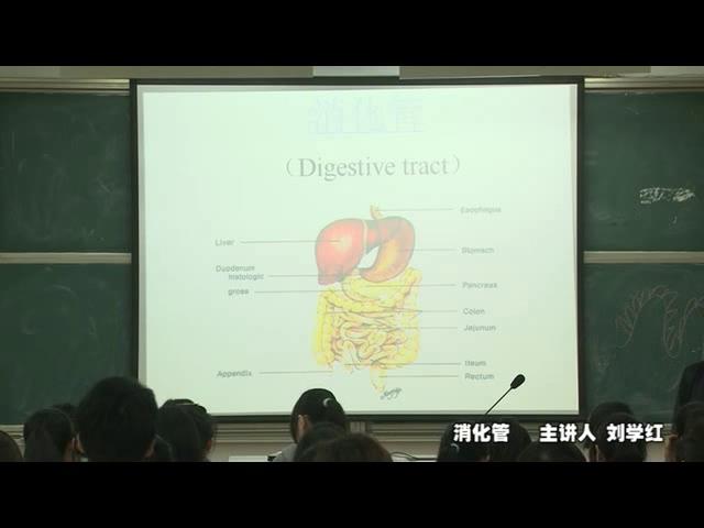 绍兴文理学院《组织学与胚胎学》22集教学视频下载 - 教学视频下载 - 中医养生阁中医教学-中医资料-中医医案-中医针灸-古籍珍本-中医基础-中医经典-中医-名家学术-中医男科-疾病专治-经方论治-名族医药-中医方剂-中药本草-中医拔罐-中医刮痧-推拿按摩-中医内科-中西结合-中医妇科-中医皮肤-中医医话-中医外科-中医儿科-中医儿科-海外中医-特色疗法-中医骨伤-中医四诊-中医养生阁