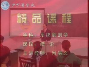 泸州医学院《系统解剖学》35集教学视频下载 - 教学视频下载中医教学-中医资料-中医医案-中医针灸-古籍珍本-中医基础-中医经典-中医-名家学术-中医男科-疾病专治-经方论治-名族医药-中医方剂-中药本草-中医拔罐-中医刮痧-推拿按摩-中医内科-中西结合-中医妇科-中医皮肤-中医医话-中医外科-中医儿科-中医儿科-海外中医-特色疗法-中医骨伤-中医四诊-中医养生阁