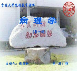 吉林大学《病理学》51集教学视频下载 - 教学视频下载中医教学-中医资料-中医医案-中医针灸-古籍珍本-中医基础-中医经典-中医-名家学术-中医男科-疾病专治-经方论治-名族医药-中医方剂-中药本草-中医拔罐-中医刮痧-推拿按摩-中医内科-中西结合-中医妇科-中医皮肤-中医医话-中医外科-中医儿科-中医儿科-海外中医-特色疗法-中医骨伤-中医四诊-中医养生阁