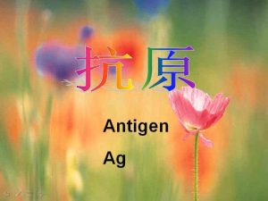 郑州大学《医学免疫学》23讲教学视频下载 - 教学视频下载中医教学-中医资料-中医医案-中医针灸-古籍珍本-中医基础-中医经典-中医-名家学术-中医男科-疾病专治-经方论治-名族医药-中医方剂-中药本草-中医拔罐-中医刮痧-推拿按摩-中医内科-中西结合-中医妇科-中医皮肤-中医医话-中医外科-中医儿科-中医儿科-海外中医-特色疗法-中医骨伤-中医四诊-中医养生阁