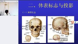郑州大学《人体解剖学》41讲教学视频下载 - 教学视频下载中医教学-中医资料-中医医案-中医针灸-古籍珍本-中医基础-中医经典-中医-名家学术-中医男科-疾病专治-经方论治-名族医药-中医方剂-中药本草-中医拔罐-中医刮痧-推拿按摩-中医内科-中西结合-中医妇科-中医皮肤-中医医话-中医外科-中医儿科-中医儿科-海外中医-特色疗法-中医骨伤-中医四诊-中医养生阁