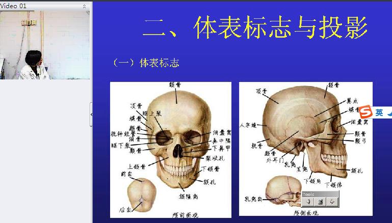 郑州大学《人体解剖学》41讲教学视频下载 - 教学视频下载 - 中医养生阁中医教学-中医资料-中医医案-中医针灸-古籍珍本-中医基础-中医经典-中医-名家学术-中医男科-疾病专治-经方论治-名族医药-中医方剂-中药本草-中医拔罐-中医刮痧-推拿按摩-中医内科-中西结合-中医妇科-中医皮肤-中医医话-中医外科-中医儿科-中医儿科-海外中医-特色疗法-中医骨伤-中医四诊-中医养生阁
