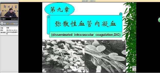 郑州大学《病理生理学》37讲教学视频下载 - 教学视频下载 - 中医养生阁中医教学-中医资料-中医医案-中医针灸-古籍珍本-中医基础-中医经典-中医-名家学术-中医男科-疾病专治-经方论治-名族医药-中医方剂-中药本草-中医拔罐-中医刮痧-推拿按摩-中医内科-中西结合-中医妇科-中医皮肤-中医医话-中医外科-中医儿科-中医儿科-海外中医-特色疗法-中医骨伤-中医四诊-中医养生阁
