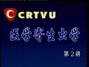 北京大学《医学寄生虫学》10集教学视频下载 - 教学视频下载中医教学-中医资料-中医医案-中医针灸-古籍珍本-中医基础-中医经典-中医-名家学术-中医男科-疾病专治-经方论治-名族医药-中医方剂-中药本草-中医拔罐-中医刮痧-推拿按摩-中医内科-中西结合-中医妇科-中医皮肤-中医医话-中医外科-中医儿科-中医儿科-海外中医-特色疗法-中医骨伤-中医四诊-中医养生阁