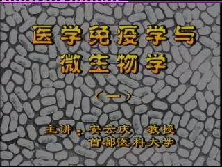 北京大学《医学免疫学与微生物学》18集教学视频下载 - 教学视频下载 - 中医养生阁中医教学-中医资料-中医医案-中医针灸-古籍珍本-中医基础-中医经典-中医-名家学术-中医男科-疾病专治-经方论治-名族医药-中医方剂-中药本草-中医拔罐-中医刮痧-推拿按摩-中医内科-中西结合-中医妇科-中医皮肤-中医医话-中医外科-中医儿科-中医儿科-海外中医-特色疗法-中医骨伤-中医四诊-中医养生阁