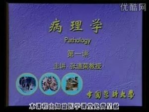中国医科大学《病理学》51集教学视频下载 - 教学视频下载中医教学-中医资料-中医医案-中医针灸-古籍珍本-中医基础-中医经典-中医-名家学术-中医男科-疾病专治-经方论治-名族医药-中医方剂-中药本草-中医拔罐-中医刮痧-推拿按摩-中医内科-中西结合-中医妇科-中医皮肤-中医医话-中医外科-中医儿科-中医儿科-海外中医-特色疗法-中医骨伤-中医四诊-中医养生阁