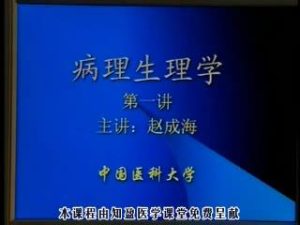 中国医科大学《病理生理学》30集教学视频下载 - 教学视频下载中医教学-中医资料-中医医案-中医针灸-古籍珍本-中医基础-中医经典-中医-名家学术-中医男科-疾病专治-经方论治-名族医药-中医方剂-中药本草-中医拔罐-中医刮痧-推拿按摩-中医内科-中西结合-中医妇科-中医皮肤-中医医话-中医外科-中医儿科-中医儿科-海外中医-特色疗法-中医骨伤-中医四诊-中医养生阁