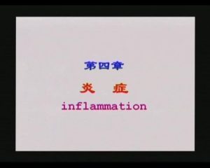 新乡医学院《病理解剖学》69集教学视频下载 - 教学视频下载中医教学-中医资料-中医医案-中医针灸-古籍珍本-中医基础-中医经典-中医-名家学术-中医男科-疾病专治-经方论治-名族医药-中医方剂-中药本草-中医拔罐-中医刮痧-推拿按摩-中医内科-中西结合-中医妇科-中医皮肤-中医医话-中医外科-中医儿科-中医儿科-海外中医-特色疗法-中医骨伤-中医四诊-中医养生阁