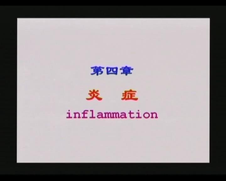 新乡医学院《病理解剖学》69集教学视频下载 - 教学视频下载 - 中医养生阁中医教学-中医资料-中医医案-中医针灸-古籍珍本-中医基础-中医经典-中医-名家学术-中医男科-疾病专治-经方论治-名族医药-中医方剂-中药本草-中医拔罐-中医刮痧-推拿按摩-中医内科-中西结合-中医妇科-中医皮肤-中医医话-中医外科-中医儿科-中医儿科-海外中医-特色疗法-中医骨伤-中医四诊-中医养生阁