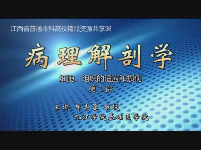 九江学院《病理解剖学》39集教学视频下载 – 教学视频下载中医教学-中医资料-中医医案-中医针灸-古籍珍本-中医基础-中医经典-中医-名家学术-中医男科-疾病专治-经方论治-名族医药-中医方剂-中药本草-中医拔罐-中医刮痧-推拿按摩-中医内科-中西结合-中医妇科-中医皮肤-中医医话-中医外科-中医儿科-中医儿科-海外中医-特色疗法-中医骨伤-中医四诊-中医养生阁