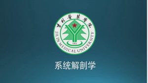 吉林医药学院《系统解剖学》85集 - 教学视频下载中医教学-中医资料-中医医案-中医针灸-古籍珍本-中医基础-中医经典-中医-名家学术-中医男科-疾病专治-经方论治-名族医药-中医方剂-中药本草-中医拔罐-中医刮痧-推拿按摩-中医内科-中西结合-中医妇科-中医皮肤-中医医话-中医外科-中医儿科-中医儿科-海外中医-特色疗法-中医骨伤-中医四诊-中医养生阁