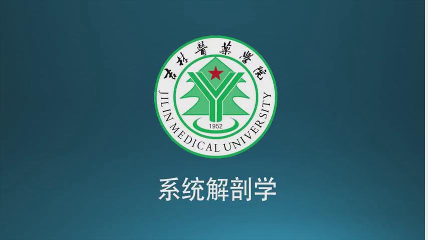 吉林医药学院《系统解剖学》85集 - 教学视频下载 - 中医养生阁中医教学-中医资料-中医医案-中医针灸-古籍珍本-中医基础-中医经典-中医-名家学术-中医男科-疾病专治-经方论治-名族医药-中医方剂-中药本草-中医拔罐-中医刮痧-推拿按摩-中医内科-中西结合-中医妇科-中医皮肤-中医医话-中医外科-中医儿科-中医儿科-海外中医-特色疗法-中医骨伤-中医四诊-中医养生阁