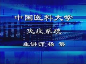 中国医科大学《组织学与胚胎学》40集 - 教学视频下载中医教学-中医资料-中医医案-中医针灸-古籍珍本-中医基础-中医经典-中医-名家学术-中医男科-疾病专治-经方论治-名族医药-中医方剂-中药本草-中医拔罐-中医刮痧-推拿按摩-中医内科-中西结合-中医妇科-中医皮肤-中医医话-中医外科-中医儿科-中医儿科-海外中医-特色疗法-中医骨伤-中医四诊-中医养生阁