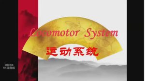 江汉大学《系统解剖学》145集教学视频下载 - 教学视频下载中医教学-中医资料-中医医案-中医针灸-古籍珍本-中医基础-中医经典-中医-名家学术-中医男科-疾病专治-经方论治-名族医药-中医方剂-中药本草-中医拔罐-中医刮痧-推拿按摩-中医内科-中西结合-中医妇科-中医皮肤-中医医话-中医外科-中医儿科-中医儿科-海外中医-特色疗法-中医骨伤-中医四诊-中医养生阁