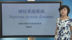 东南大学《病理学》67集教学视频下载 - 教学视频下载中医教学-中医资料-中医医案-中医针灸-古籍珍本-中医基础-中医经典-中医-名家学术-中医男科-疾病专治-经方论治-名族医药-中医方剂-中药本草-中医拔罐-中医刮痧-推拿按摩-中医内科-中西结合-中医妇科-中医皮肤-中医医话-中医外科-中医儿科-中医儿科-海外中医-特色疗法-中医骨伤-中医四诊-中医养生阁