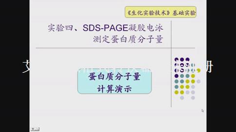 浙江万里学院《生化实验技术》75集教学视频下载 - 教学视频下载 - 中医养生阁中医教学-中医资料-中医医案-中医针灸-古籍珍本-中医基础-中医经典-中医-名家学术-中医男科-疾病专治-经方论治-名族医药-中医方剂-中药本草-中医拔罐-中医刮痧-推拿按摩-中医内科-中西结合-中医妇科-中医皮肤-中医医话-中医外科-中医儿科-中医儿科-海外中医-特色疗法-中医骨伤-中医四诊-中医养生阁
