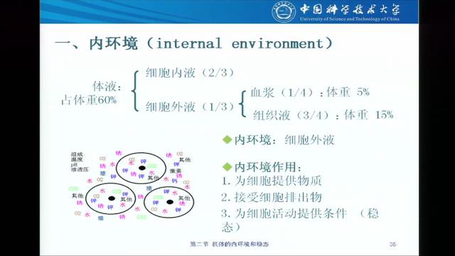 中国科学技术大学《生理学》75集教学视频下载 - 教学视频下载 - 中医养生阁中医教学-中医资料-中医医案-中医针灸-古籍珍本-中医基础-中医经典-中医-名家学术-中医男科-疾病专治-经方论治-名族医药-中医方剂-中药本草-中医拔罐-中医刮痧-推拿按摩-中医内科-中西结合-中医妇科-中医皮肤-中医医话-中医外科-中医儿科-中医儿科-海外中医-特色疗法-中医骨伤-中医四诊-中医养生阁