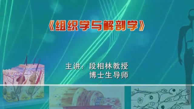 河北师范大学《组织学与解剖学》45集教学视频下载 - 教学视频下载 - 中医养生阁中医教学-中医资料-中医医案-中医针灸-古籍珍本-中医基础-中医经典-中医-名家学术-中医男科-疾病专治-经方论治-名族医药-中医方剂-中药本草-中医拔罐-中医刮痧-推拿按摩-中医内科-中西结合-中医妇科-中医皮肤-中医医话-中医外科-中医儿科-中医儿科-海外中医-特色疗法-中医骨伤-中医四诊-中医养生阁