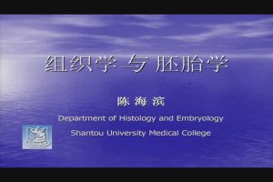 汕头大学《组织学与胚胎学》32集 - 教学视频下载中医教学-中医资料-中医医案-中医针灸-古籍珍本-中医基础-中医经典-中医-名家学术-中医男科-疾病专治-经方论治-名族医药-中医方剂-中药本草-中医拔罐-中医刮痧-推拿按摩-中医内科-中西结合-中医妇科-中医皮肤-中医医话-中医外科-中医儿科-中医儿科-海外中医-特色疗法-中医骨伤-中医四诊-中医养生阁