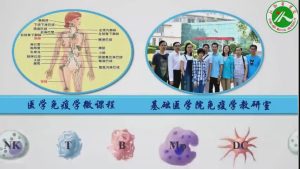 新乡医学院《临床免疫学》133集 - 教学视频下载中医教学-中医资料-中医医案-中医针灸-古籍珍本-中医基础-中医经典-中医-名家学术-中医男科-疾病专治-经方论治-名族医药-中医方剂-中药本草-中医拔罐-中医刮痧-推拿按摩-中医内科-中西结合-中医妇科-中医皮肤-中医医话-中医外科-中医儿科-中医儿科-海外中医-特色疗法-中医骨伤-中医四诊-中医养生阁