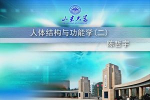 山东大学《人体结构与功能学Ⅱ》60集 - 教学视频下载中医教学-中医资料-中医医案-中医针灸-古籍珍本-中医基础-中医经典-中医-名家学术-中医男科-疾病专治-经方论治-名族医药-中医方剂-中药本草-中医拔罐-中医刮痧-推拿按摩-中医内科-中西结合-中医妇科-中医皮肤-中医医话-中医外科-中医儿科-中医儿科-海外中医-特色疗法-中医骨伤-中医四诊-中医养生阁