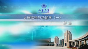 山东大学《人体结构与功能学I》48集 - 教学视频下载中医教学-中医资料-中医医案-中医针灸-古籍珍本-中医基础-中医经典-中医-名家学术-中医男科-疾病专治-经方论治-名族医药-中医方剂-中药本草-中医拔罐-中医刮痧-推拿按摩-中医内科-中西结合-中医妇科-中医皮肤-中医医话-中医外科-中医儿科-中医儿科-海外中医-特色疗法-中医骨伤-中医四诊-中医养生阁