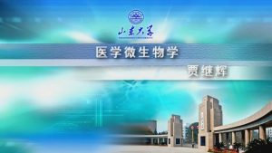山东大学《医学微生物学》35集 - 教学视频下载中医教学-中医资料-中医医案-中医针灸-古籍珍本-中医基础-中医经典-中医-名家学术-中医男科-疾病专治-经方论治-名族医药-中医方剂-中药本草-中医拔罐-中医刮痧-推拿按摩-中医内科-中西结合-中医妇科-中医皮肤-中医医话-中医外科-中医儿科-中医儿科-海外中医-特色疗法-中医骨伤-中医四诊-中医养生阁