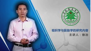 吉林医药学院《组织学与胚胎学》73集 - 教学视频下载中医教学-中医资料-中医医案-中医针灸-古籍珍本-中医基础-中医经典-中医-名家学术-中医男科-疾病专治-经方论治-名族医药-中医方剂-中药本草-中医拔罐-中医刮痧-推拿按摩-中医内科-中西结合-中医妇科-中医皮肤-中医医话-中医外科-中医儿科-中医儿科-海外中医-特色疗法-中医骨伤-中医四诊-中医养生阁