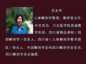 川北医学院《局部解剖学》(节选)27集 - 教学视频下载中医教学-中医资料-中医医案-中医针灸-古籍珍本-中医基础-中医经典-中医-名家学术-中医男科-疾病专治-经方论治-名族医药-中医方剂-中药本草-中医拔罐-中医刮痧-推拿按摩-中医内科-中西结合-中医妇科-中医皮肤-中医医话-中医外科-中医儿科-中医儿科-海外中医-特色疗法-中医骨伤-中医四诊-中医养生阁