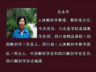 川北医学院《局部解剖学》(节选)27集 – 教学视频下载中医教学-中医资料-中医医案-中医针灸-古籍珍本-中医基础-中医经典-中医-名家学术-中医男科-疾病专治-经方论治-名族医药-中医方剂-中药本草-中医拔罐-中医刮痧-推拿按摩-中医内科-中西结合-中医妇科-中医皮肤-中医医话-中医外科-中医儿科-中医儿科-海外中医-特色疗法-中医骨伤-中医四诊-中医养生阁