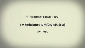 川北医学院《病理学》59集 - 教学视频下载中医教学-中医资料-中医医案-中医针灸-古籍珍本-中医基础-中医经典-中医-名家学术-中医男科-疾病专治-经方论治-名族医药-中医方剂-中药本草-中医拔罐-中医刮痧-推拿按摩-中医内科-中西结合-中医妇科-中医皮肤-中医医话-中医外科-中医儿科-中医儿科-海外中医-特色疗法-中医骨伤-中医四诊-中医养生阁