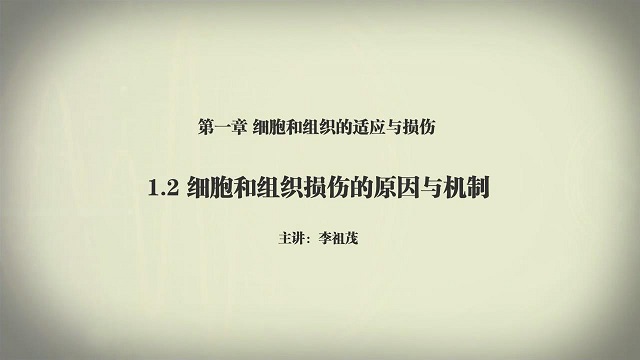 川北医学院《病理学》59集 - 教学视频下载 - 中医养生阁中医教学-中医资料-中医医案-中医针灸-古籍珍本-中医基础-中医经典-中医-名家学术-中医男科-疾病专治-经方论治-名族医药-中医方剂-中药本草-中医拔罐-中医刮痧-推拿按摩-中医内科-中西结合-中医妇科-中医皮肤-中医医话-中医外科-中医儿科-中医儿科-海外中医-特色疗法-中医骨伤-中医四诊-中医养生阁