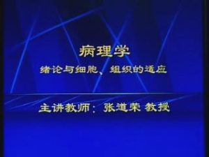 中国医科大学《病理学》32集 - 教学视频下载中医教学-中医资料-中医医案-中医针灸-古籍珍本-中医基础-中医经典-中医-名家学术-中医男科-疾病专治-经方论治-名族医药-中医方剂-中药本草-中医拔罐-中医刮痧-推拿按摩-中医内科-中西结合-中医妇科-中医皮肤-中医医话-中医外科-中医儿科-中医儿科-海外中医-特色疗法-中医骨伤-中医四诊-中医养生阁