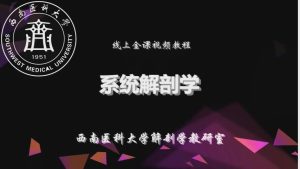 泸州医学院《系统解剖学标本课》88节 - 教学视频下载中医教学-中医资料-中医医案-中医针灸-古籍珍本-中医基础-中医经典-中医-名家学术-中医男科-疾病专治-经方论治-名族医药-中医方剂-中药本草-中医拔罐-中医刮痧-推拿按摩-中医内科-中西结合-中医妇科-中医皮肤-中医医话-中医外科-中医儿科-中医儿科-海外中医-特色疗法-中医骨伤-中医四诊-中医养生阁