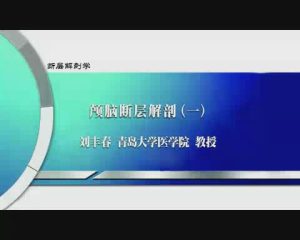 青岛大学《断层解剖学》40集 - 教学视频下载中医教学-中医资料-中医医案-中医针灸-古籍珍本-中医基础-中医经典-中医-名家学术-中医男科-疾病专治-经方论治-名族医药-中医方剂-中药本草-中医拔罐-中医刮痧-推拿按摩-中医内科-中西结合-中医妇科-中医皮肤-中医医话-中医外科-中医儿科-中医儿科-海外中医-特色疗法-中医骨伤-中医四诊-中医养生阁