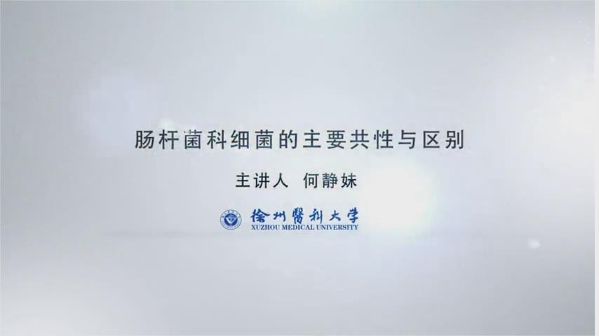 徐州医科大学《医学微生物学》32集 - 教学视频下载 - 中医养生阁中医教学-中医资料-中医医案-中医针灸-古籍珍本-中医基础-中医经典-中医-名家学术-中医男科-疾病专治-经方论治-名族医药-中医方剂-中药本草-中医拔罐-中医刮痧-推拿按摩-中医内科-中西结合-中医妇科-中医皮肤-中医医话-中医外科-中医儿科-中医儿科-海外中医-特色疗法-中医骨伤-中医四诊-中医养生阁