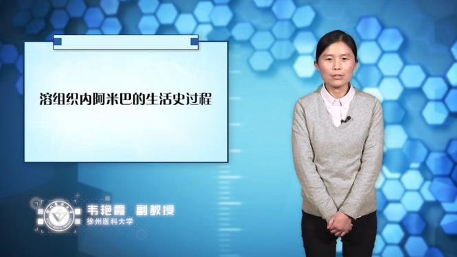 徐州医科大学《人体寄生虫学》36集 - 教学视频下载 - 中医养生阁中医教学-中医资料-中医医案-中医针灸-古籍珍本-中医基础-中医经典-中医-名家学术-中医男科-疾病专治-经方论治-名族医药-中医方剂-中药本草-中医拔罐-中医刮痧-推拿按摩-中医内科-中西结合-中医妇科-中医皮肤-中医医话-中医外科-中医儿科-中医儿科-海外中医-特色疗法-中医骨伤-中医四诊-中医养生阁