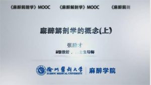 徐州医科大学《麻醉解剖学》22集 - 教学视频下载中医教学-中医资料-中医医案-中医针灸-古籍珍本-中医基础-中医经典-中医-名家学术-中医男科-疾病专治-经方论治-名族医药-中医方剂-中药本草-中医拔罐-中医刮痧-推拿按摩-中医内科-中西结合-中医妇科-中医皮肤-中医医话-中医外科-中医儿科-中医儿科-海外中医-特色疗法-中医骨伤-中医四诊-中医养生阁