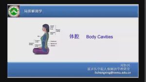 新乡医学院《局部解剖学》70集 - 教学视频下载中医教学-中医资料-中医医案-中医针灸-古籍珍本-中医基础-中医经典-中医-名家学术-中医男科-疾病专治-经方论治-名族医药-中医方剂-中药本草-中医拔罐-中医刮痧-推拿按摩-中医内科-中西结合-中医妇科-中医皮肤-中医医话-中医外科-中医儿科-中医儿科-海外中医-特色疗法-中医骨伤-中医四诊-中医养生阁