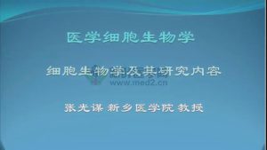 新乡医学院《医学细胞生物学》115集 - 教学视频下载中医教学-中医资料-中医医案-中医针灸-古籍珍本-中医基础-中医经典-中医-名家学术-中医男科-疾病专治-经方论治-名族医药-中医方剂-中药本草-中医拔罐-中医刮痧-推拿按摩-中医内科-中西结合-中医妇科-中医皮肤-中医医话-中医外科-中医儿科-中医儿科-海外中医-特色疗法-中医骨伤-中医四诊-中医养生阁