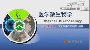 新乡医学院《医学微生物学实验》13集 - 教学视频下载中医教学-中医资料-中医医案-中医针灸-古籍珍本-中医基础-中医经典-中医-名家学术-中医男科-疾病专治-经方论治-名族医药-中医方剂-中药本草-中医拔罐-中医刮痧-推拿按摩-中医内科-中西结合-中医妇科-中医皮肤-中医医话-中医外科-中医儿科-中医儿科-海外中医-特色疗法-中医骨伤-中医四诊-中医养生阁