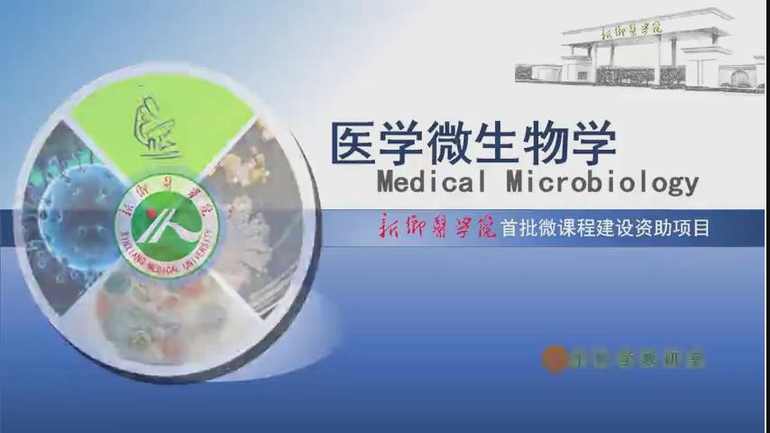 新乡医学院《医学微生物学》137集 - 教学视频下载 - 中医养生阁中医教学-中医资料-中医医案-中医针灸-古籍珍本-中医基础-中医经典-中医-名家学术-中医男科-疾病专治-经方论治-名族医药-中医方剂-中药本草-中医拔罐-中医刮痧-推拿按摩-中医内科-中西结合-中医妇科-中医皮肤-中医医话-中医外科-中医儿科-中医儿科-海外中医-特色疗法-中医骨伤-中医四诊-中医养生阁
