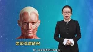 《局部解剖学微课》26集 - 教学视频下载中医教学-中医资料-中医医案-中医针灸-古籍珍本-中医基础-中医经典-中医-名家学术-中医男科-疾病专治-经方论治-名族医药-中医方剂-中药本草-中医拔罐-中医刮痧-推拿按摩-中医内科-中西结合-中医妇科-中医皮肤-中医医话-中医外科-中医儿科-中医儿科-海外中医-特色疗法-中医骨伤-中医四诊-中医养生阁