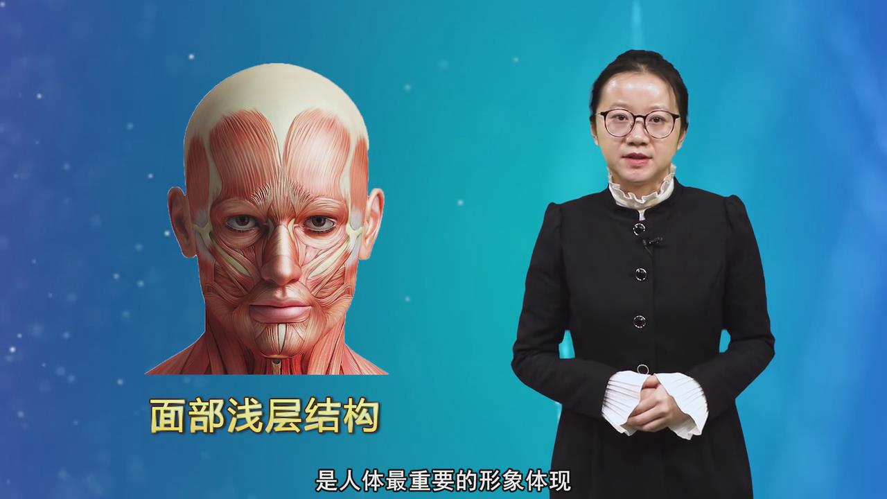 《局部解剖学微课》26集 - 教学视频下载 - 中医养生阁中医教学-中医资料-中医医案-中医针灸-古籍珍本-中医基础-中医经典-中医-名家学术-中医男科-疾病专治-经方论治-名族医药-中医方剂-中药本草-中医拔罐-中医刮痧-推拿按摩-中医内科-中西结合-中医妇科-中医皮肤-中医医话-中医外科-中医儿科-中医儿科-海外中医-特色疗法-中医骨伤-中医四诊-中医养生阁