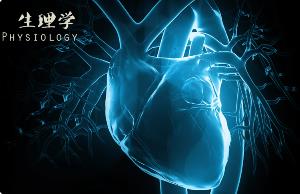 《生理学微课》84集 - 教学视频下载中医教学-中医资料-中医医案-中医针灸-古籍珍本-中医基础-中医经典-中医-名家学术-中医男科-疾病专治-经方论治-名族医药-中医方剂-中药本草-中医拔罐-中医刮痧-推拿按摩-中医内科-中西结合-中医妇科-中医皮肤-中医医话-中医外科-中医儿科-中医儿科-海外中医-特色疗法-中医骨伤-中医四诊-中医养生阁