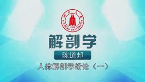 《人体解剖学》60集 - 教学视频下载中医教学-中医资料-中医医案-中医针灸-古籍珍本-中医基础-中医经典-中医-名家学术-中医男科-疾病专治-经方论治-名族医药-中医方剂-中药本草-中医拔罐-中医刮痧-推拿按摩-中医内科-中西结合-中医妇科-中医皮肤-中医医话-中医外科-中医儿科-中医儿科-海外中医-特色疗法-中医骨伤-中医四诊-中医养生阁